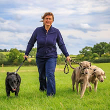 Malvern Happy Paws - Dog Walking in Malvern