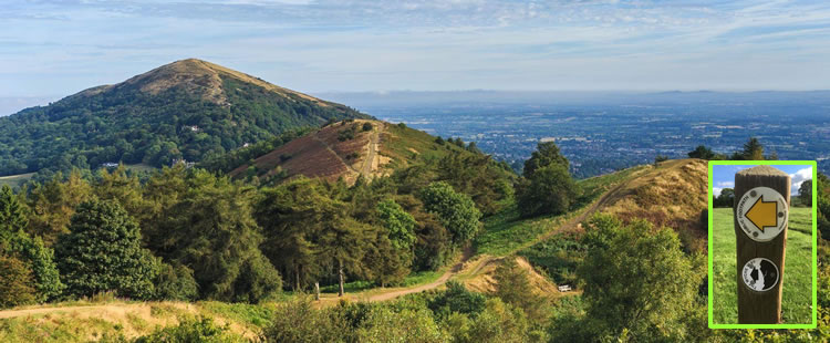 Malvern Happy Paws - Dog Walking on the Malvern Hills